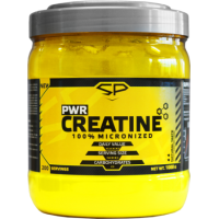 PWR Creatine 100% Micronized (1кг)